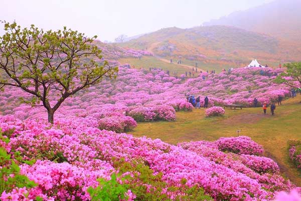 Ngỡ ngàng cảnh đẹp ở quê hương HLV Park Hang-Seo U23 Việt Nam
